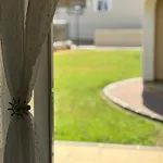 Apartamento En Con 3 Dobles Y Piscina A 150 Metros De La Playa Les Deveses Dénia